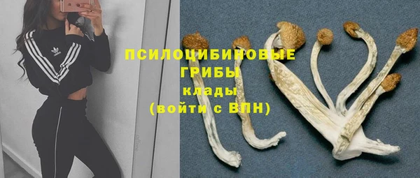 герыч Магас