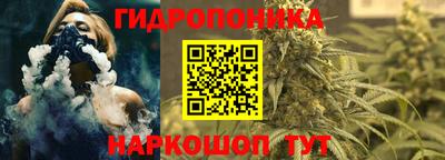 индика Балашиха