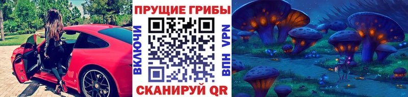 Псилоцибиновые грибы Psilocybe  Воронеж 