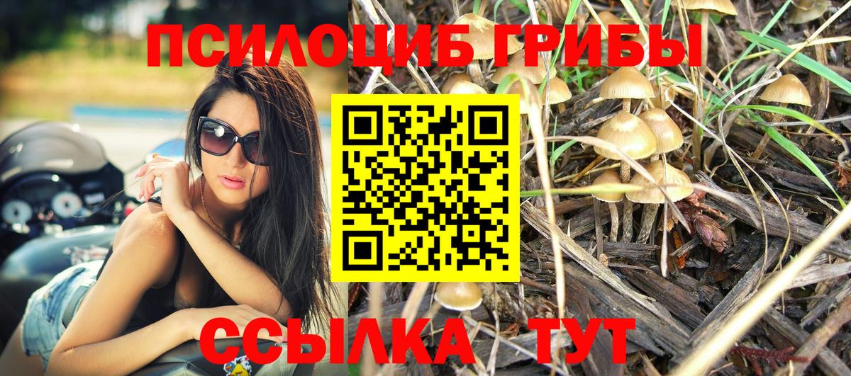 Псилоцибиновые грибы GOLDEN TEACHER  Галлюциногенные грибы MAGIC MUSHROOMS  Воронеж  Вход с VPN 