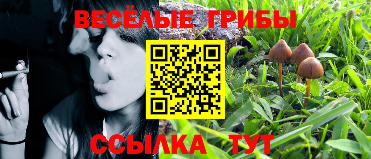 Мефедрон  MDMA  Воронеж  COCAIN  Хэш  Alpha PVP  МАРИХУАНА  ГАШИШ  Вход с VPN 